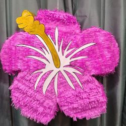 Hibiscus Pinata 