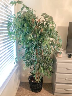 Fake Tree for trade