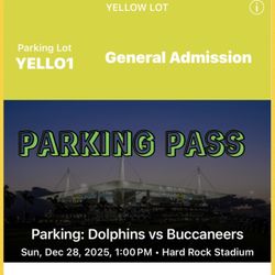 Miami Dolphins VS Tampa Bay Bucs 