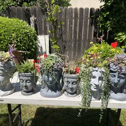Large Succulent head Planters