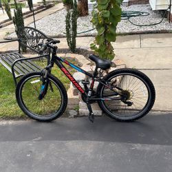 220$ Schwin Bike