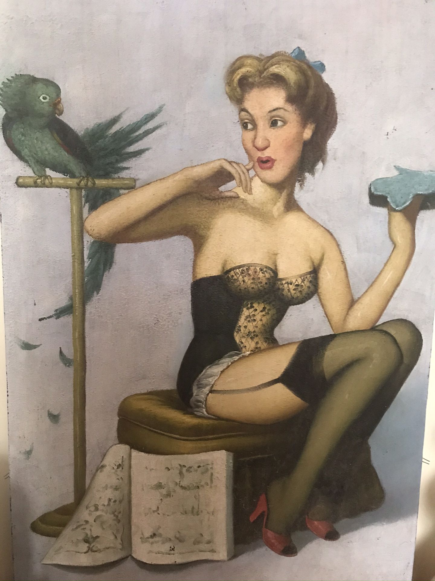 Butterface Pinup Girl Vintage Canvas 2’x3’