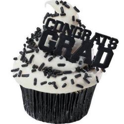 24 Graduation Cupcake Toppers cake decorations Picks Food safe plastic - NEW NEVER USED $5 per set of 24. Price is firm. Thank you.