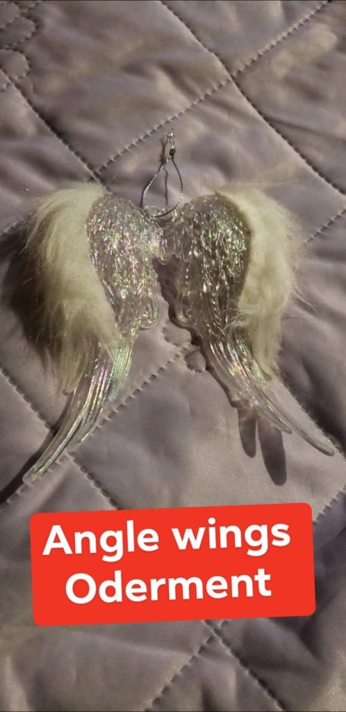 🩷 Angel Wings Oderment
