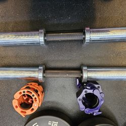 Rogue Fitness Loadable Dumbells DB-15 Pair