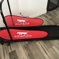 Dog Treadmill 
