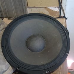 3 X 12 Inch Woofers Pa
