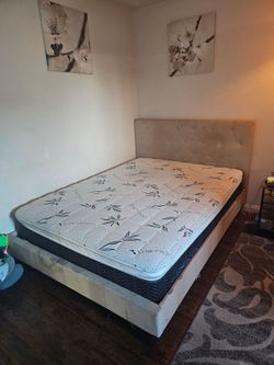 mattress and bed size queen.