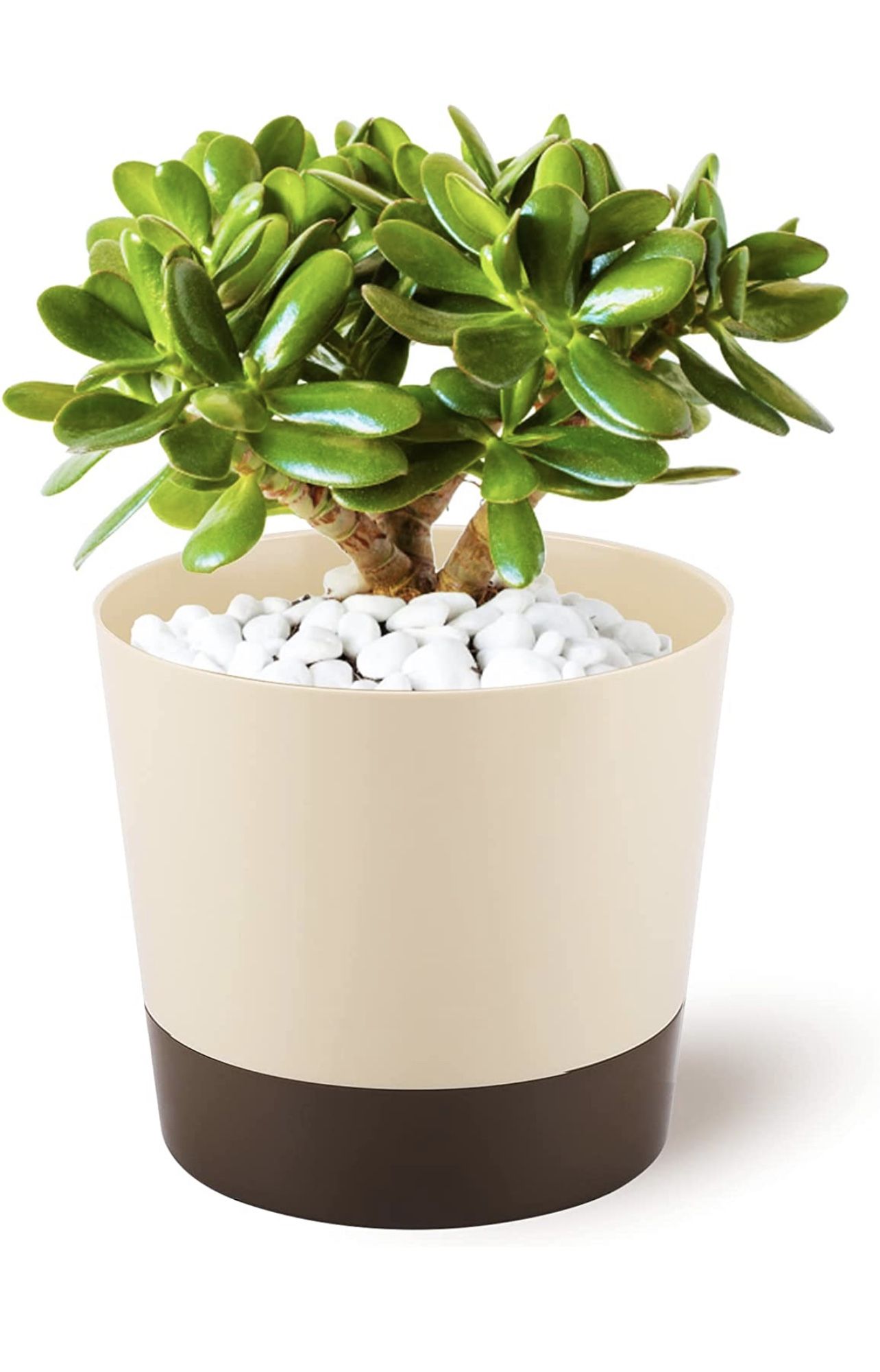 Planters Pot