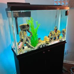 75 Gallon Fish Tank