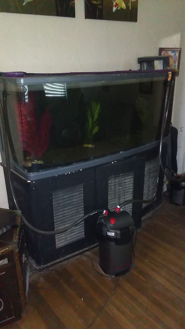 250 gallon fish tank with delivery truck for Sale in