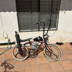 Low rider Bike