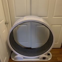Cat Wheel 