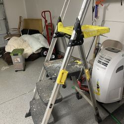 Ladder With Tray And Handle Carrier