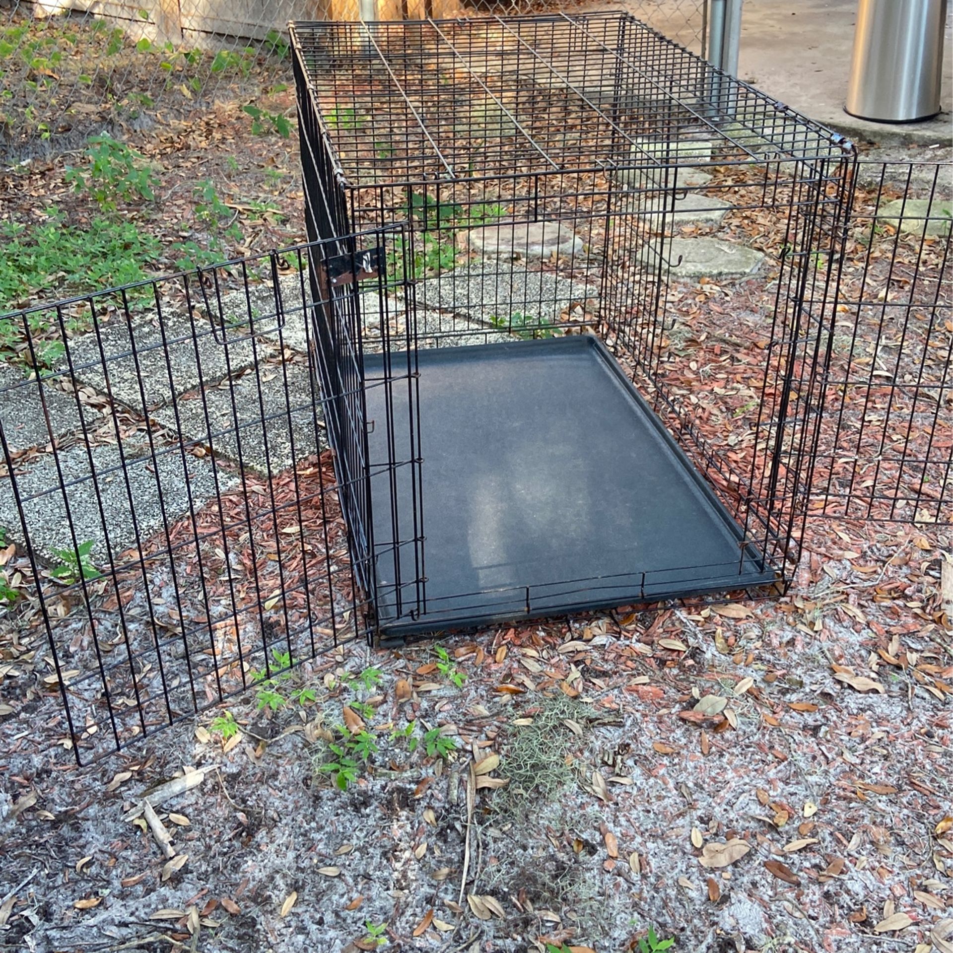 Huge Dog Cage