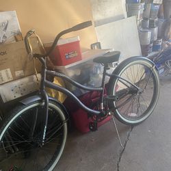 Bicicleta Grande 