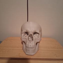 full size to scale 3d printed Skull asking 35