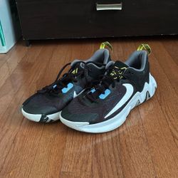 Antetokounmpo Basketball Shoes