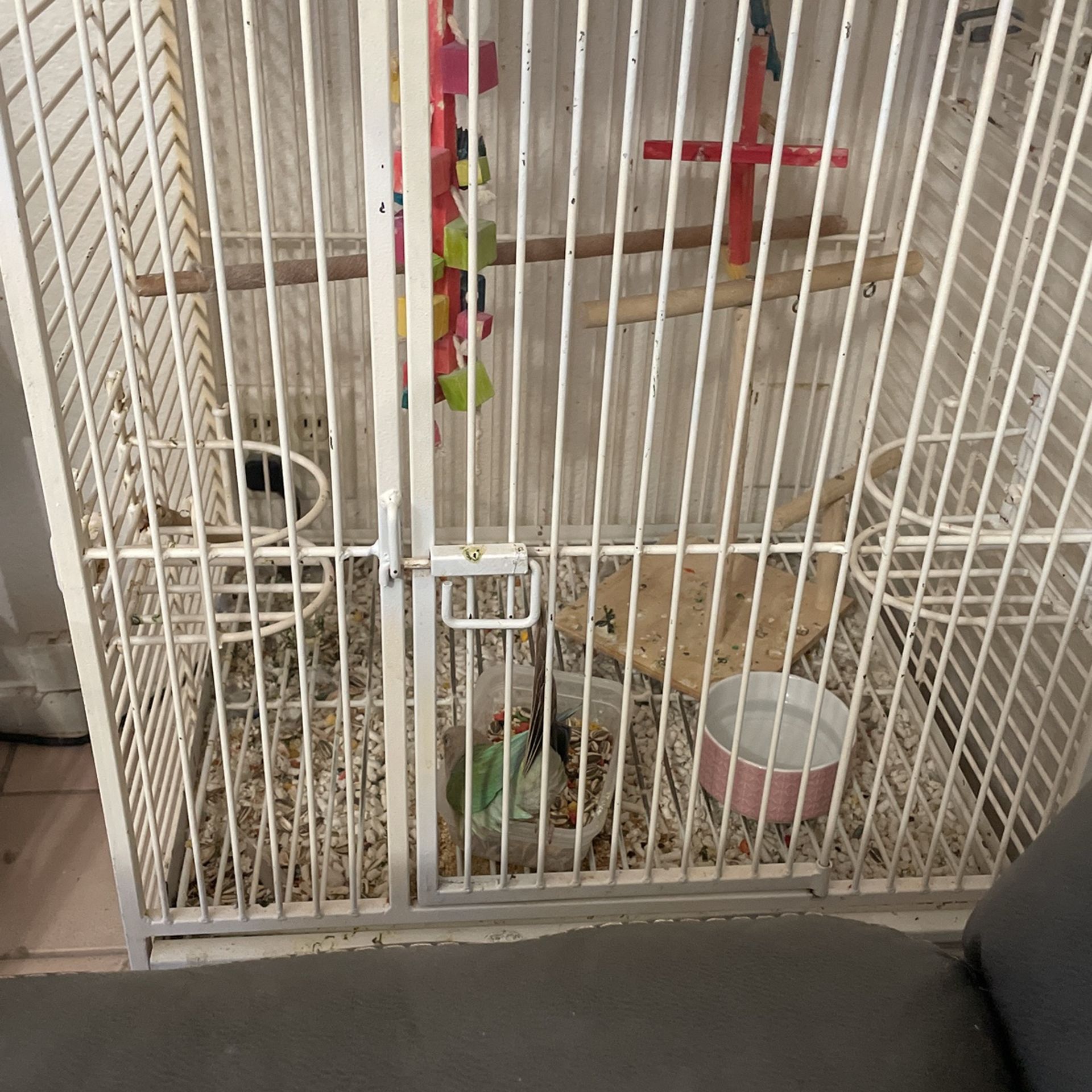 Large Bird Cage