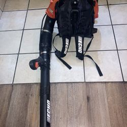 Echo Blower 