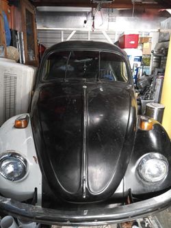 1973 BW bug