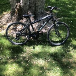 24” Mountain Bike 