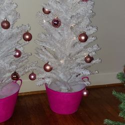 Christmas Trees