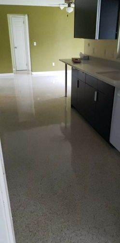 Terrazzo Floor Polishing