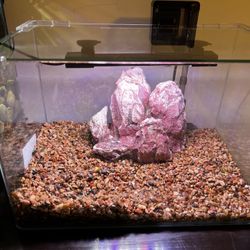 8 Gallon Perfect Fish Tank Set!