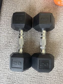 20 lb Dumbbells (Pair)