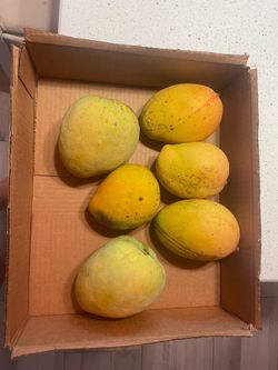 Seacrest & Pickering Mangoes