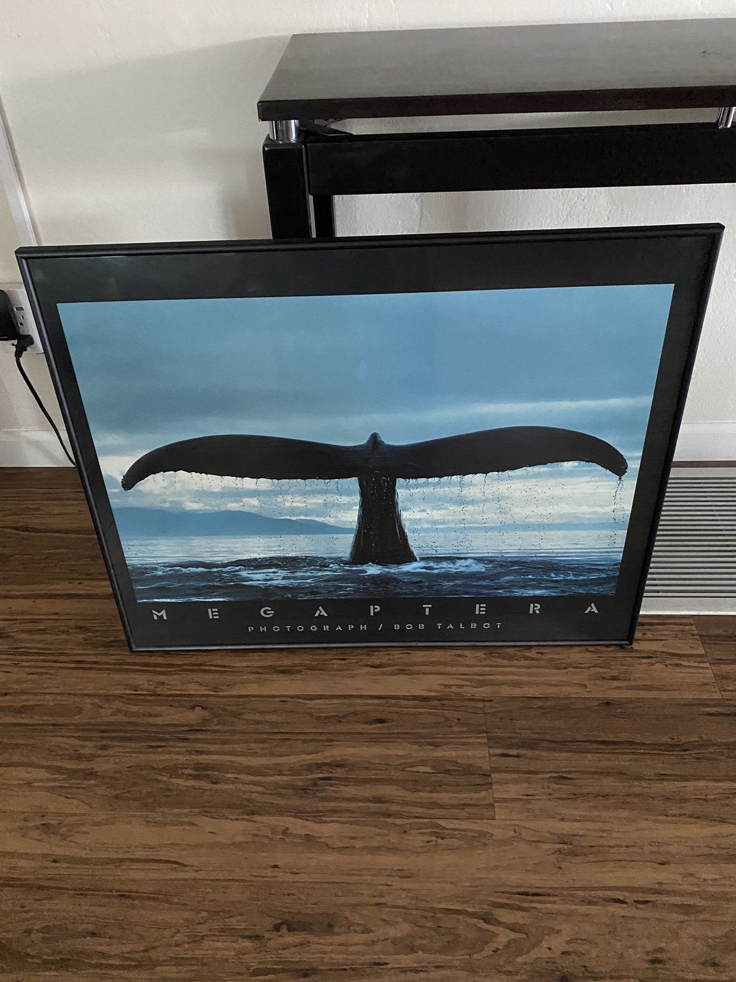 Bob Talbot Signed Megaptera Whale Photography Poster #354336