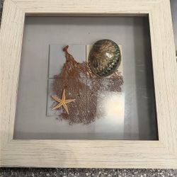 Another Shell Painting With Shells And Other Cool Designs