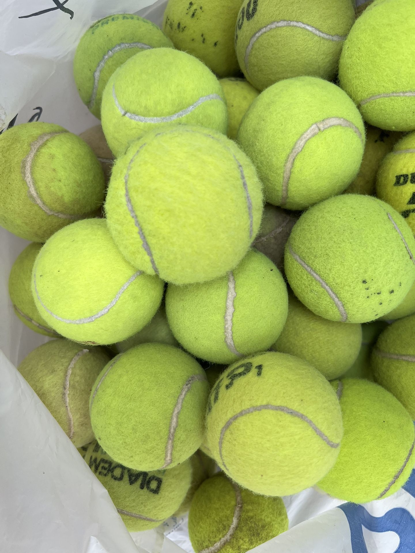 60 Used Tennis Balls / Dog Balls