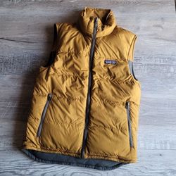 Patagonia Reversible Bivy Down Vest