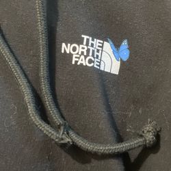 the north face