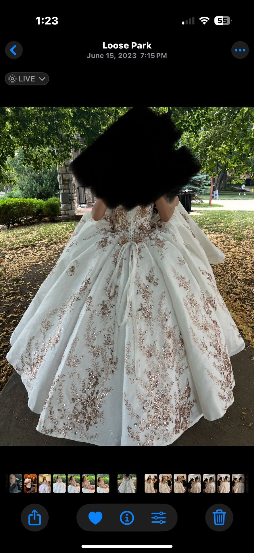 Quinceañera Dress