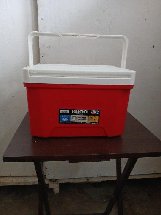 Igloo Personal Cooler