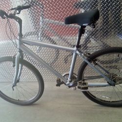 Specialized Men's Mountain Bike.