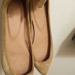 Sz8 Joie Flats New Yes Available Dnt Ask