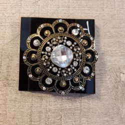 New Brooch Its Really Pretty  .    Size.  2"×  2" .      