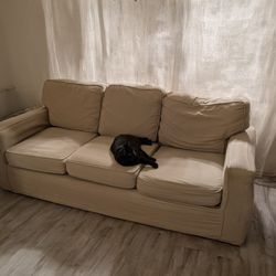Free Sofa