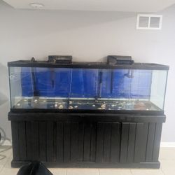 Fish Tank  No Leaks Full Assembly 