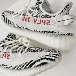 DS Yeezy Zebra