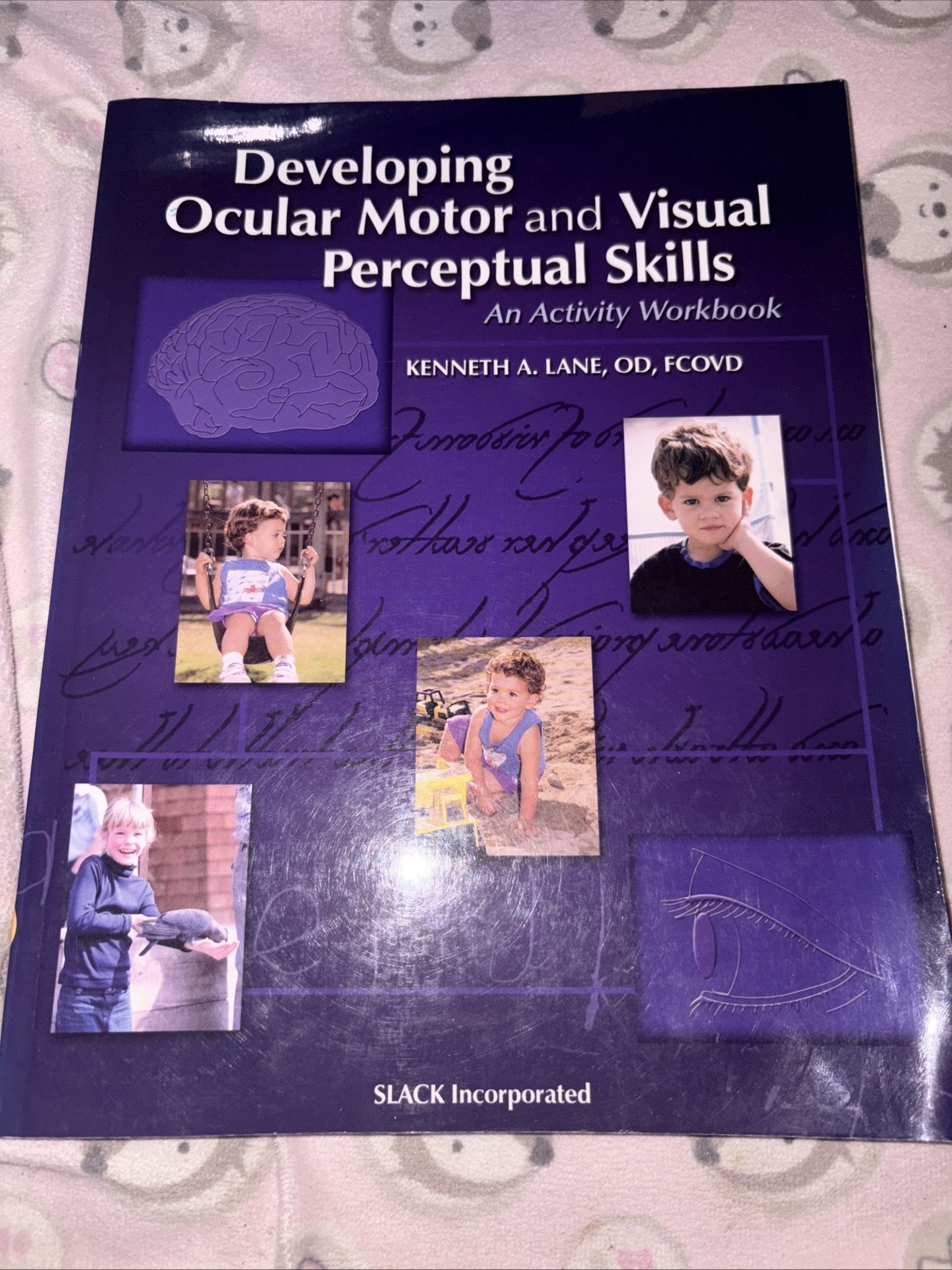 Developing Ocular Motor and Visual Perceptual Skills: An Activity Workbook! 2005