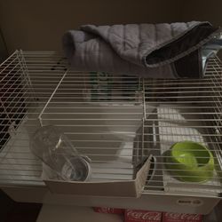 Guinea Pig Cage