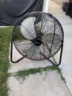 Fan