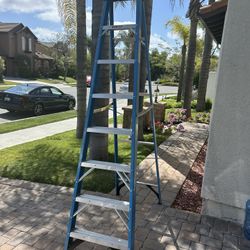 8ft Ladder