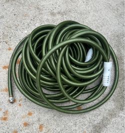 100 ft Garden Hose