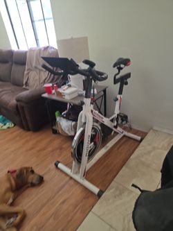 Exercise Bike